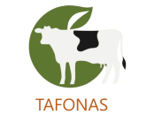 Tafonas